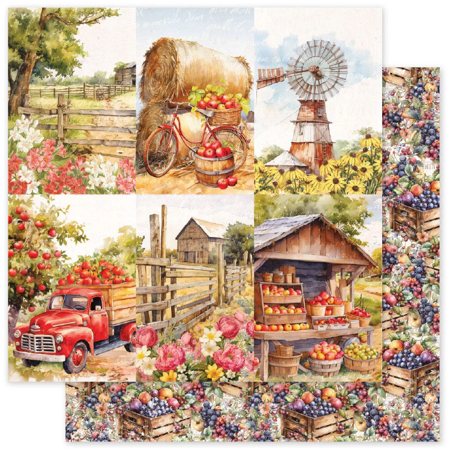 Paper Rose Meadowbrook Farm Cardstock -Collage of rural scenes with fruits, a windmill, and a red truck.