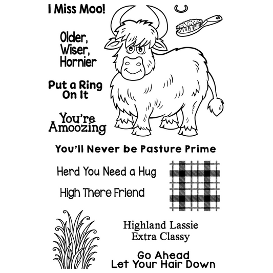 Highland Cow